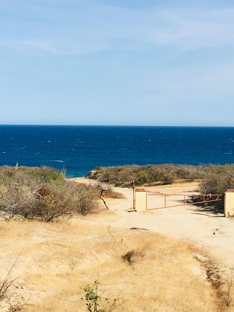 References and Bibliography